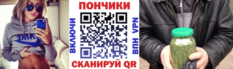 Какие есть наркотики Подпорожье Бошки Шишки  Галлюциногенные грибы  Alpha-PVP  ГАШИШ  МЕФ 