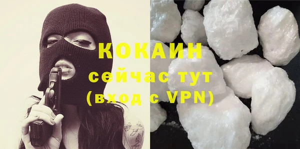 шишки Балабаново