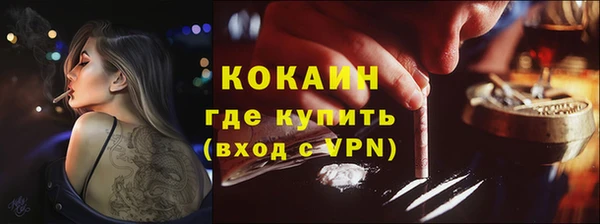 трава Арсеньев