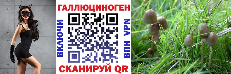 KRAKEN ссылка  Подпорожье  Псилоцибиновые грибы MAGIC MUSHROOMS 